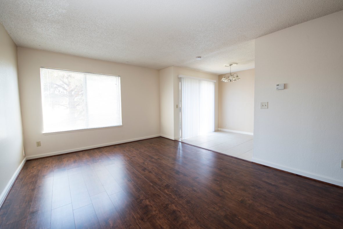 Spacious living room area with vinyl flooring in some units